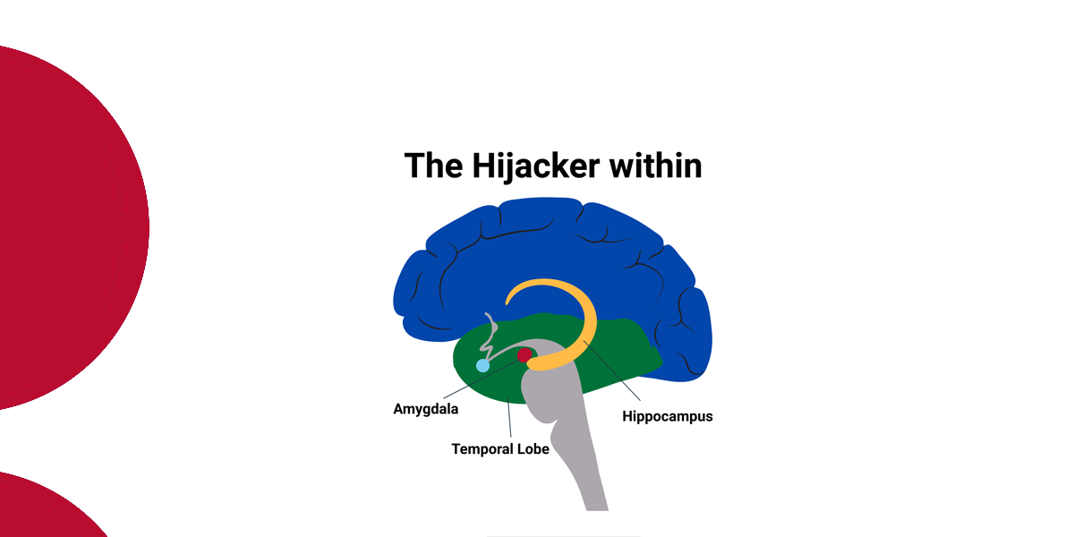 What Was I Thinking? Handling the Amygdala Hijack