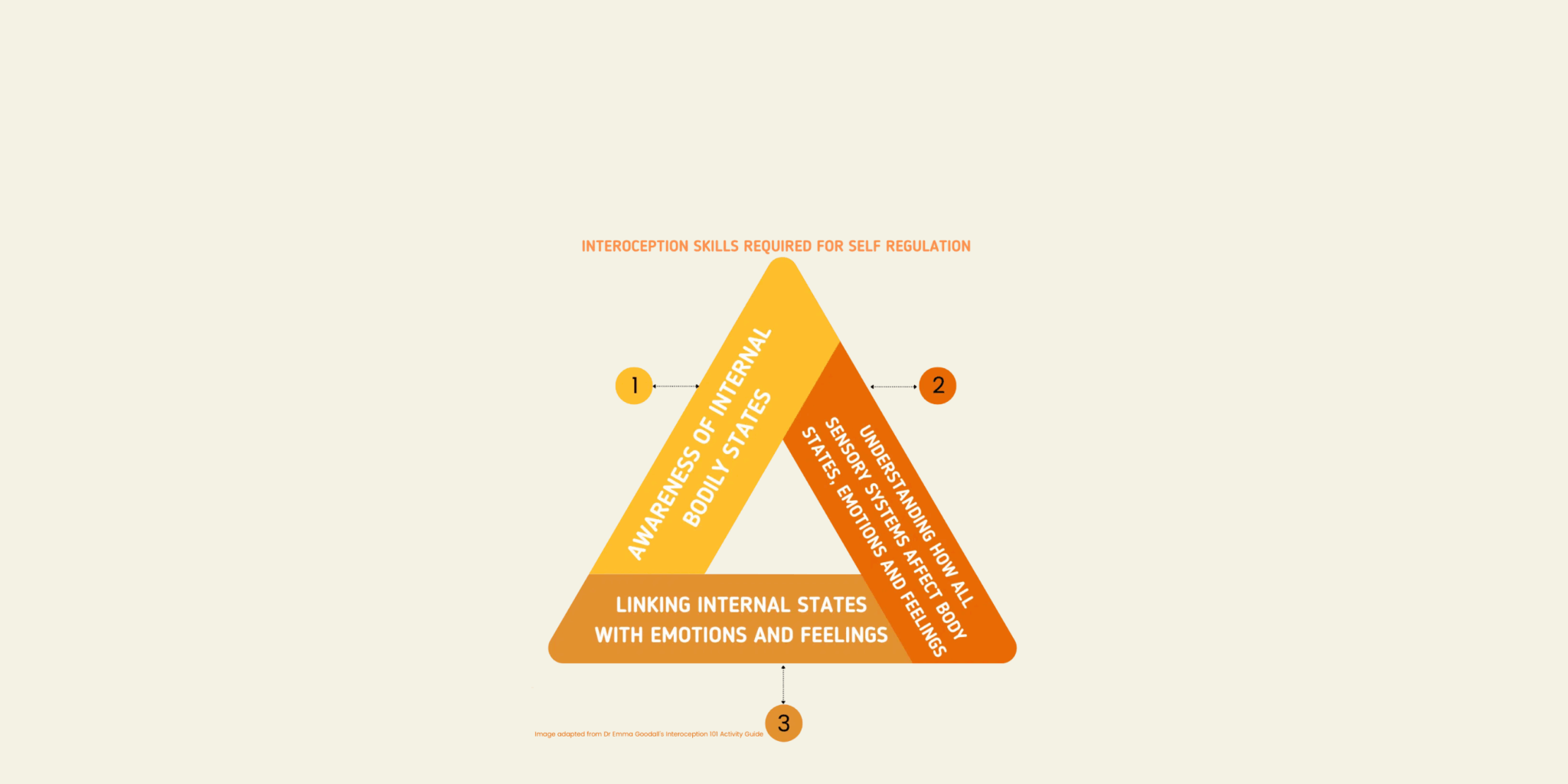 Interoception: the hidden sense that can help children understand their feelings before they react